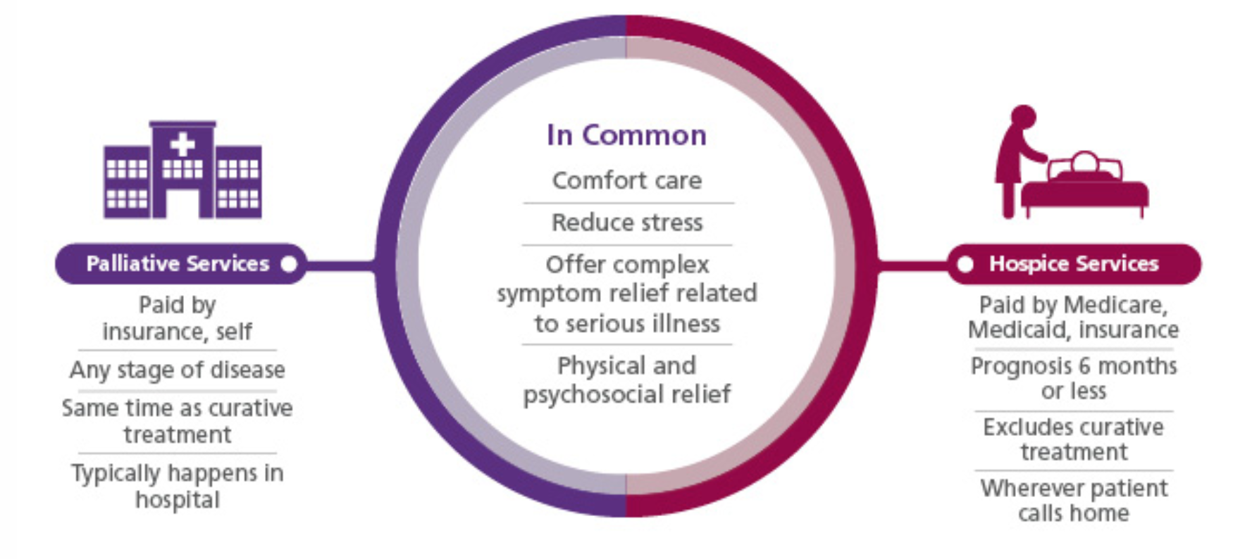 Hospice and Palliative Care Chart